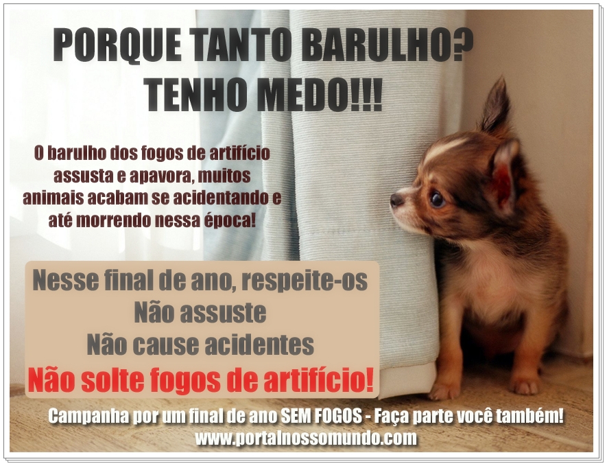 http://www.portalnossomundo.com/blog/wp-content/uploads/2011/12/fogos.jpg