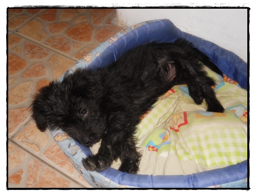DSCN6350.JPG