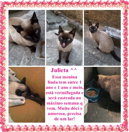 Moldura da Julieta.jpg